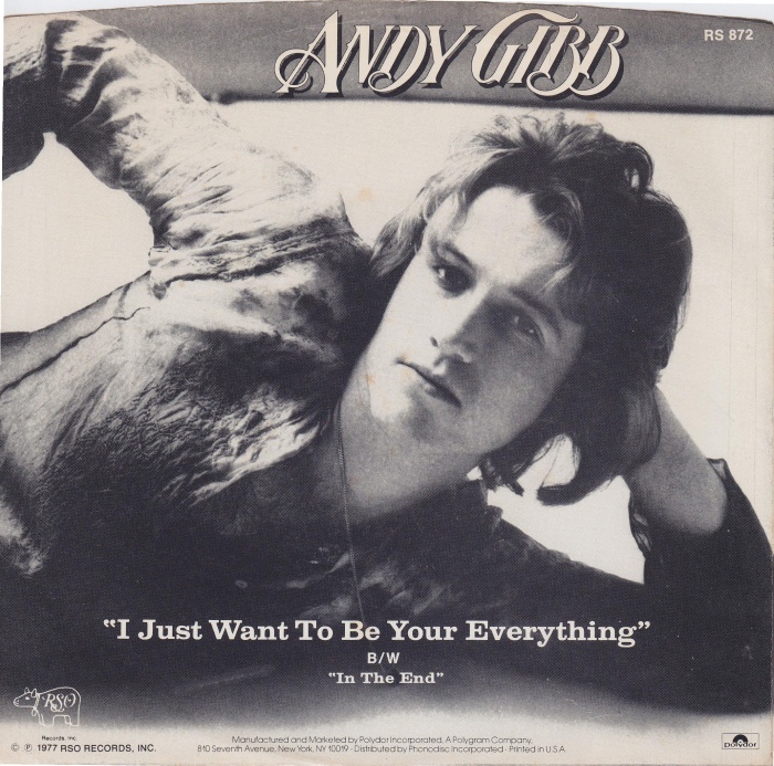 andy-gibb-i-just-want-to-be-your-everything-rso
