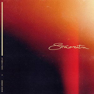 Senorita - Shawn Mendes & Camila Cabello record cover